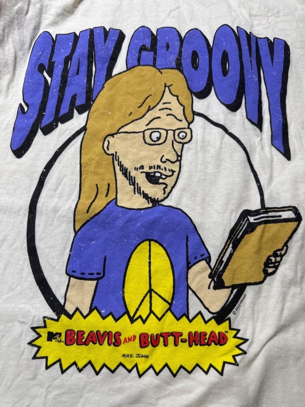 American Classics Vintage Beavis and Butt-Head Van Driessen Stay Groovy T-Shirt